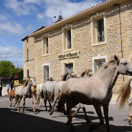 Hôtel O’Banel Gallargues-le-Montueux Buitenkant foto